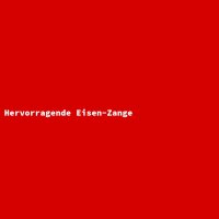 Hervorragende Eisen-Zange